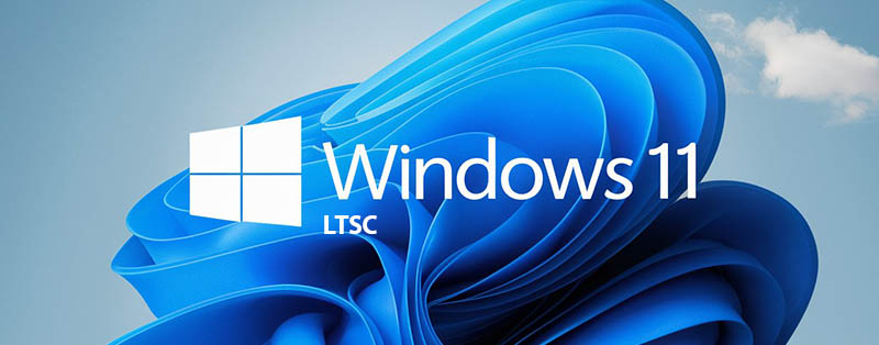 Windows 11 LTSC vs Windows 11: Which is Right for You? - Micro 